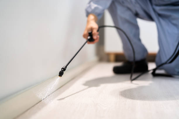 Licensed Pest Control service in Virginia, VA - Show Me Pest Control