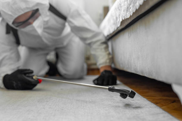 Professional Pest Control technician working in Virginia, VA