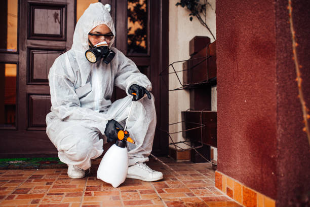 Reliable Pest Control contractor in Virginia, VA by Show Me Pest Control
